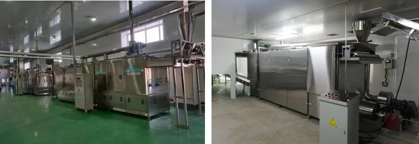 External Air Circulation Pet Food Dryer Dog Food Production Machine Pet Treats Making Machine