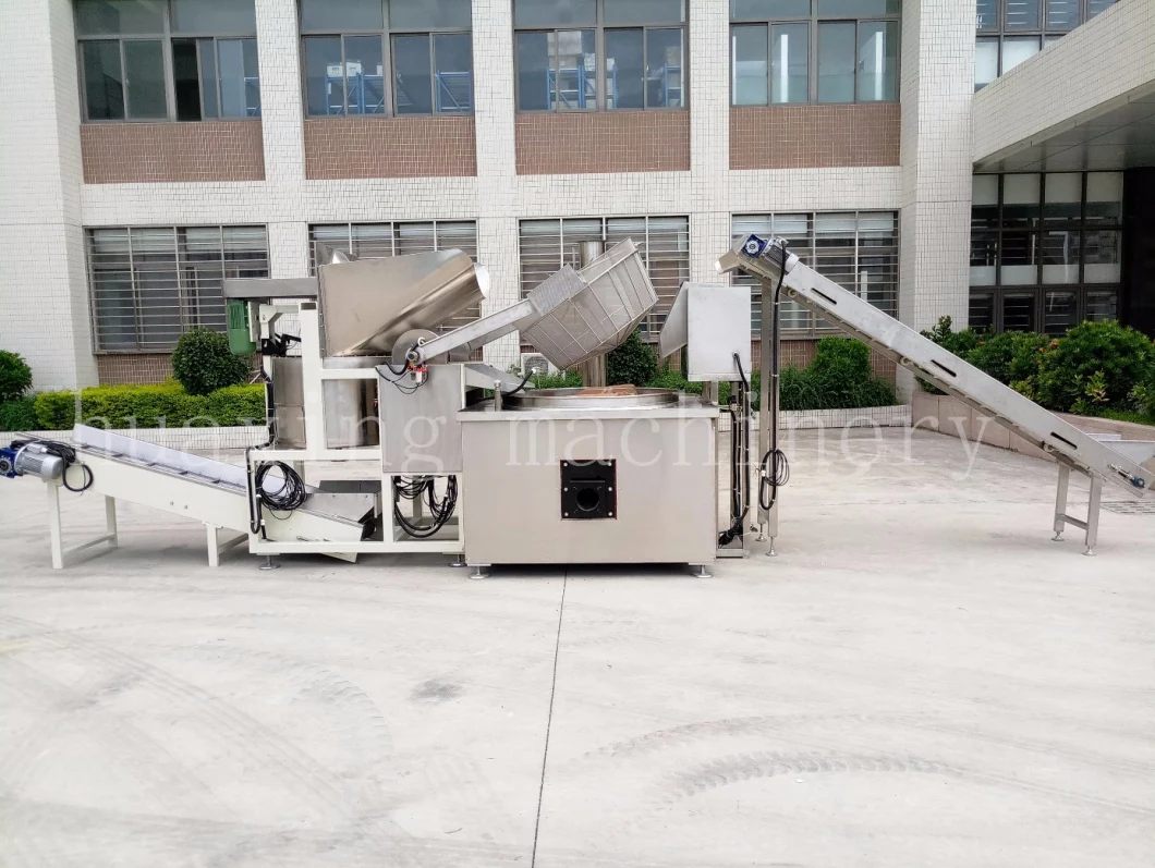 Food Manufacturing Industrial Continuous Batch Gas Fryer for Sale