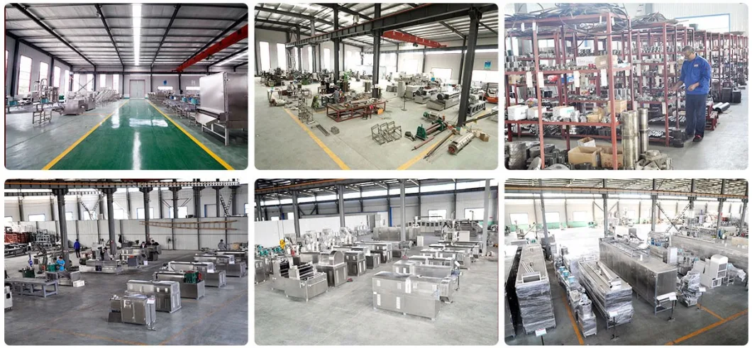 Pet Feed Food Pellet Make Machine Line Wet Pet Food Processing Machines Cold Pet Treat Pressing Machine Dry Pet Food Production Line