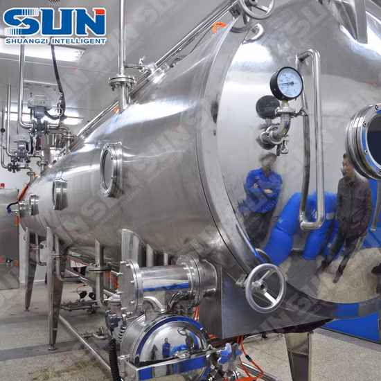 Herb Extract/Plant Extract Continuous Vacuum Belt Dryer