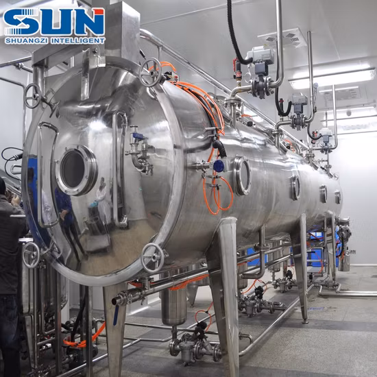 Herb Extract/Plant Extract Continuous Vacuum Belt Dryer