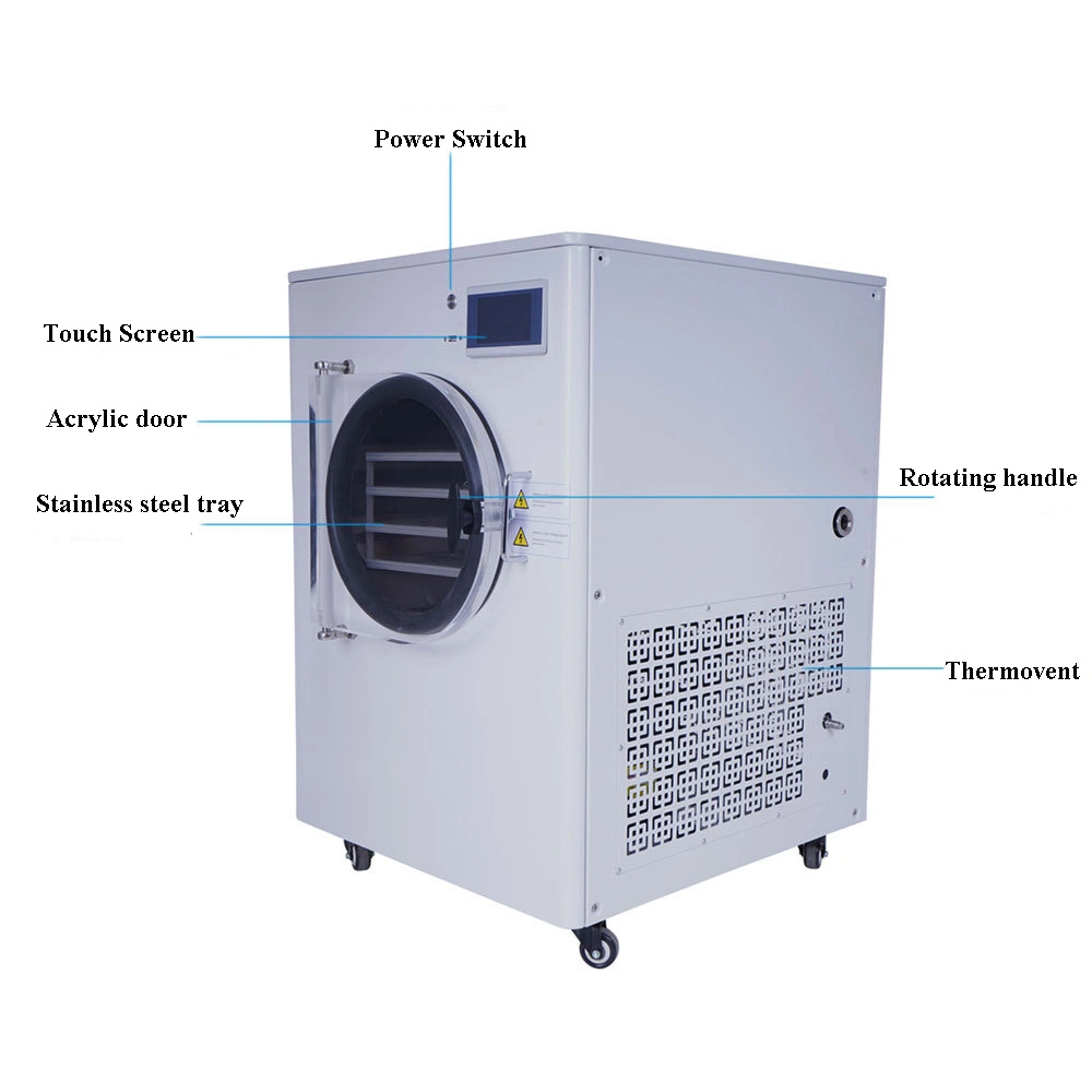 4-6kg/Batch Small Vacuum Fruit Food Freeze Drying Machine Home Use Vegetable Freezer Dryer with Pump Mini Food Vacuum Freeze Drying Machine Freeze Dryer Machine