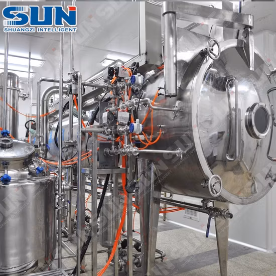 Kontinuierlicher Vakuumbandtrockner für Kräuterextrakte/Pflanzenextrakte