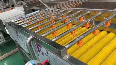 Gas- und elektrische automatische Snack-Pellet-Frittiermaschine, Förderband-Durchlauffritteuse